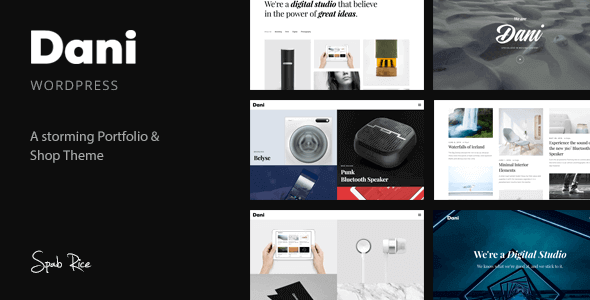 dani-1 Dani 1.6 - A Storming Portfolio & Shop WordPress Theme - Image 1
