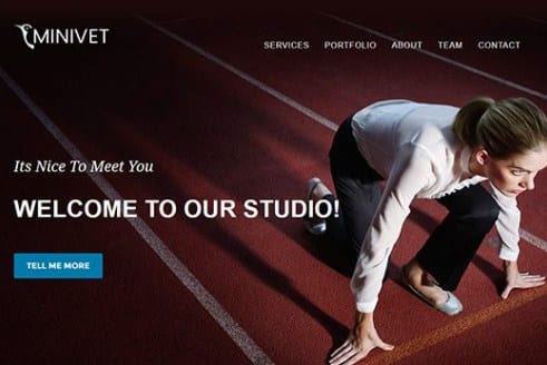 CyberChimps-Minivet-WordPress-Theme CyberChimps Minivet WordPress Theme 1.5 - Image 1