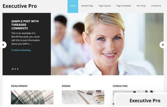 StudioPress-Executive-Pro-Theme StudioPress Executive Pro Theme 3.2.3 - Image 1
