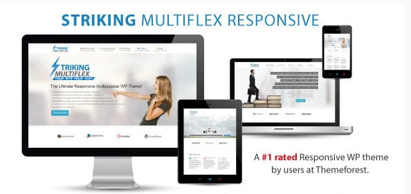 Striking Striking MultiFlex & Ecommerce Responsive WP Theme 1.2.9.7 - Image 1