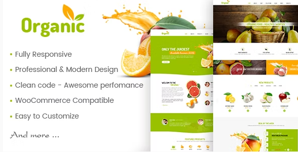 amy AmyOrganic - Organic and Healthy Theme for WordPress 1.0.2 - Image 1