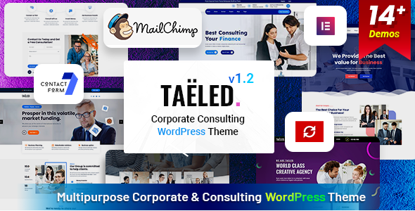 tael TAELED - Business Consulting WordPress Theme 1.2.0 - Image 1